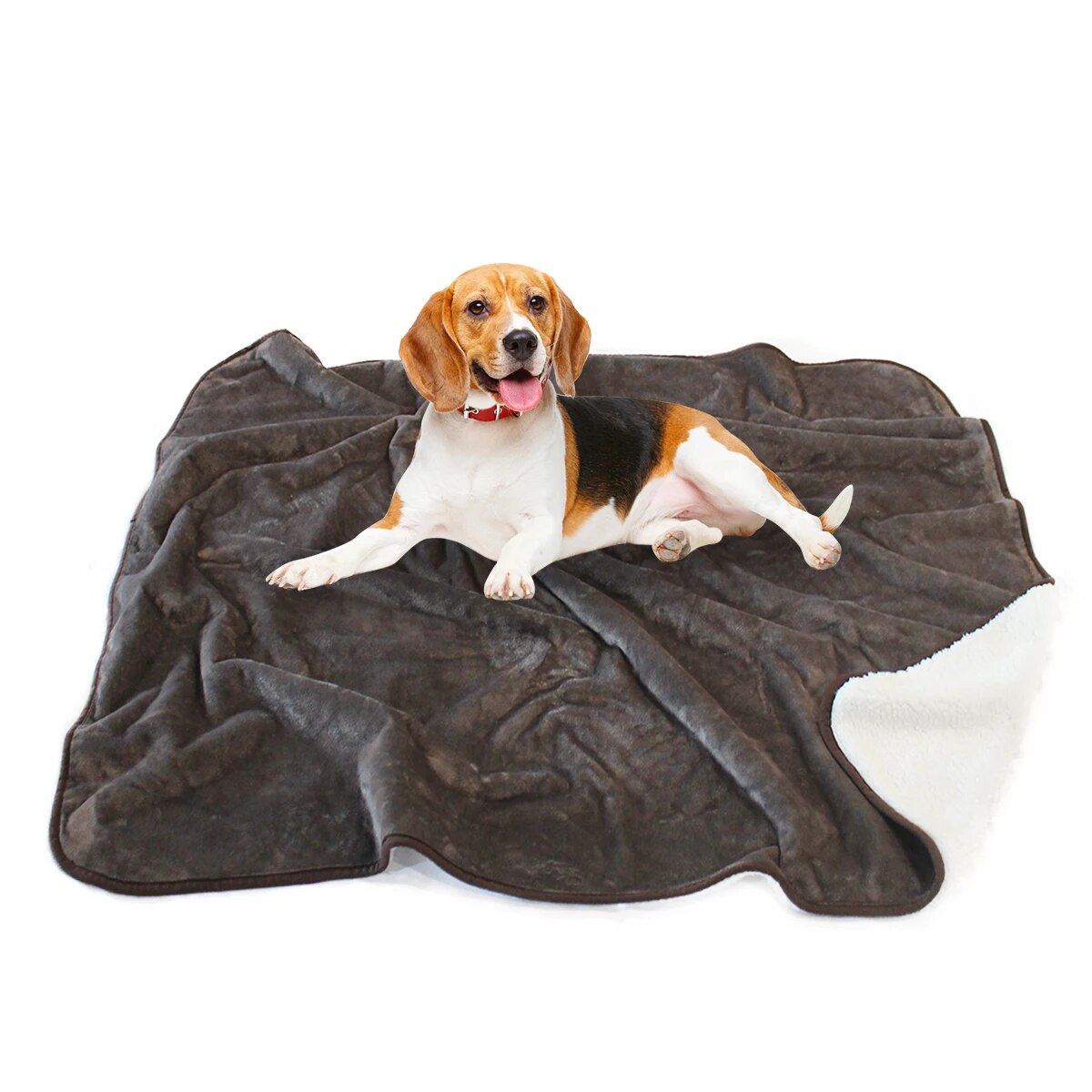 47303682490691|47303682523459|47303682556227