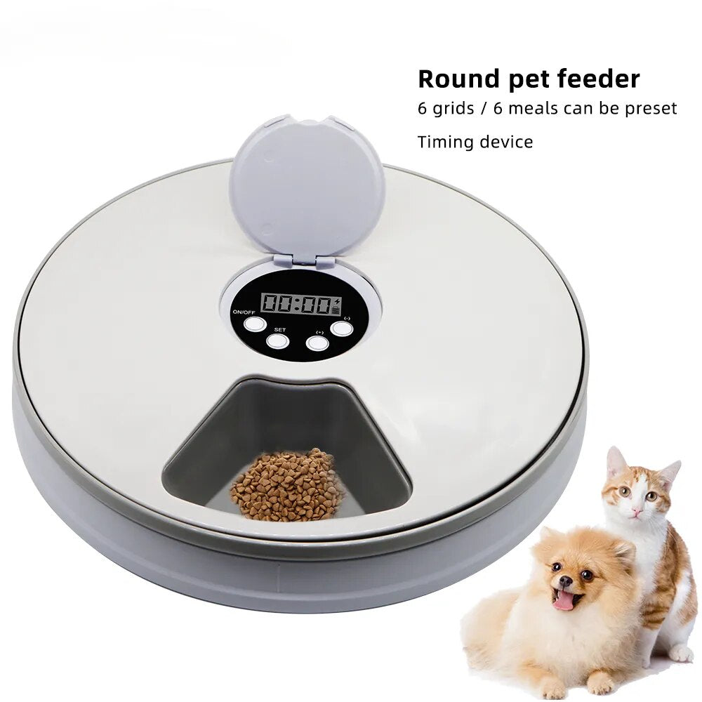 Electric Dry and Wet Food Dispenser with Voice Recorder and Round Timing