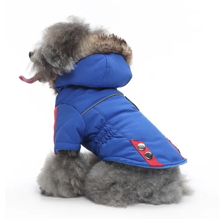Cozy Cotton-Padded Pet Jacket
