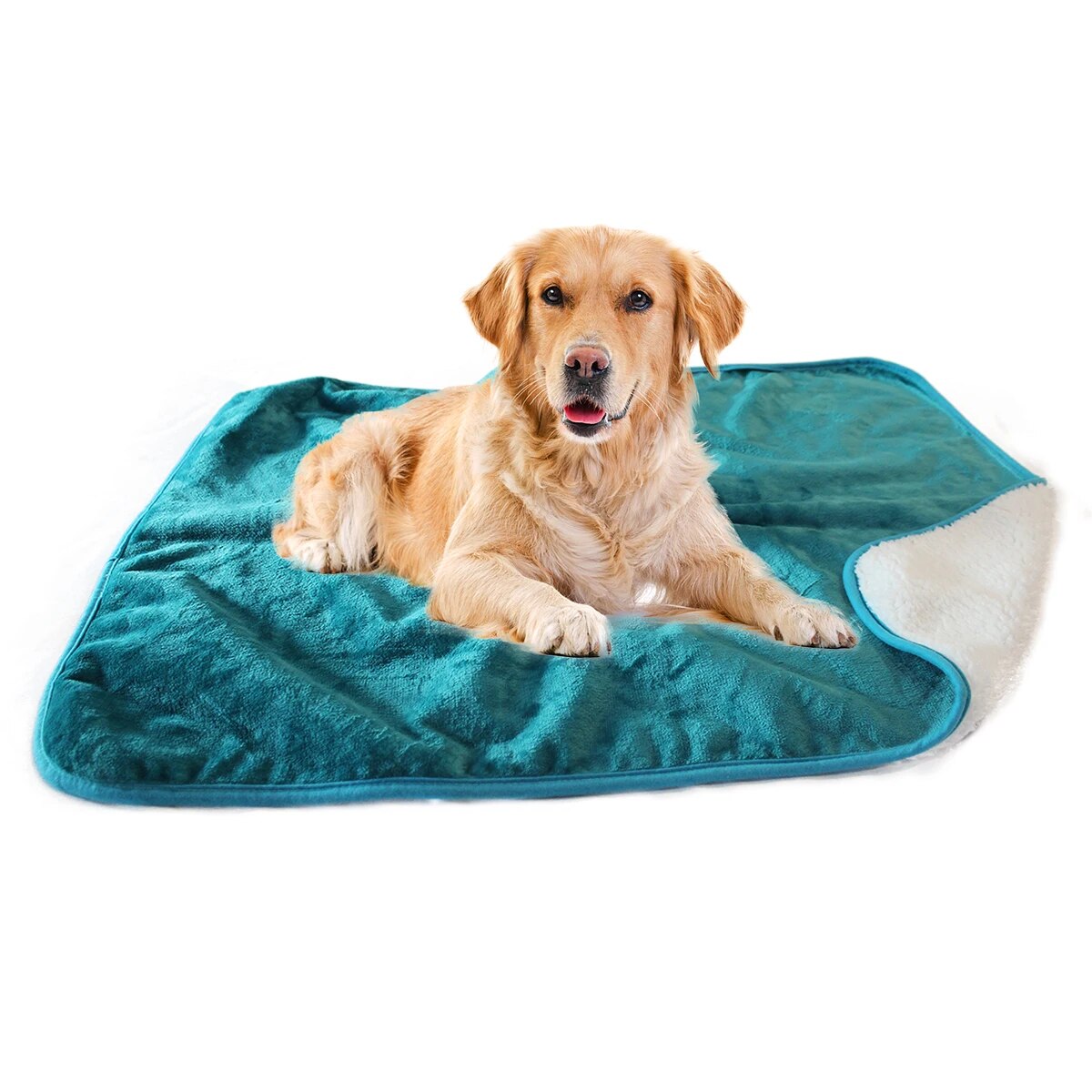 47303682392387|47303682425155|47303682457923