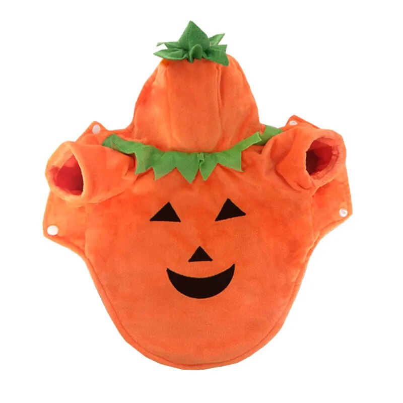 Cute Pumpkin Funny Pet Halloween Costume